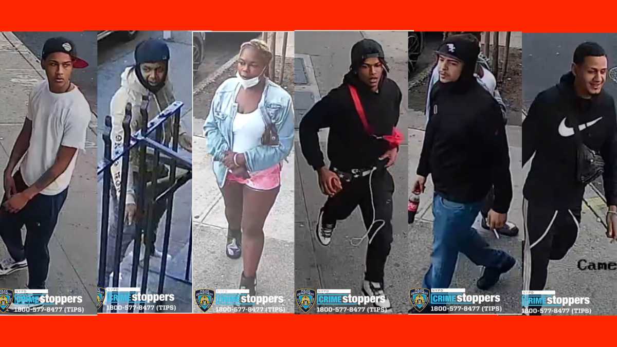 attempted bronx robbery