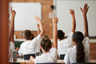 School students with raised hands, back view