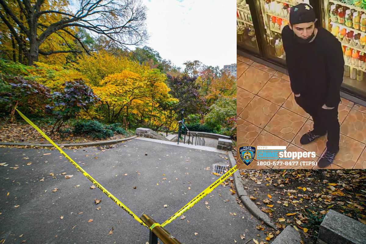 centralparkrapesuspectswanlake