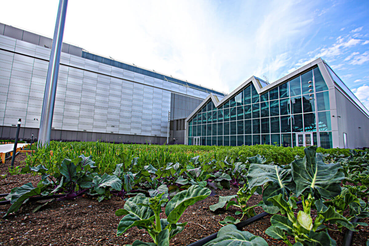 Exclusive: Jacob Javits Center makes first produce donation from rooftop farm 9