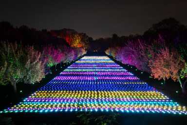 Sea_of_Light_by_ITHACA._Photo_by_Liz_Ligon_