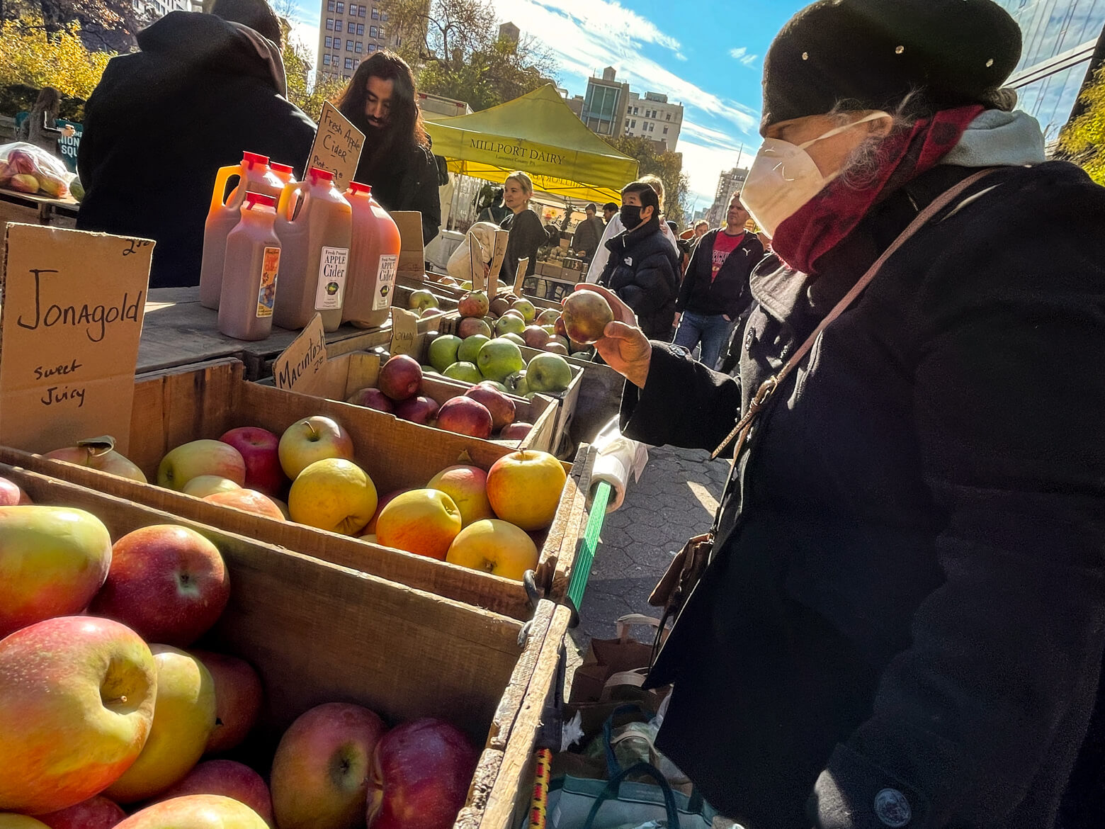 Late fall harvests, seasonal greenery and herb wreaths highlight Union Square Greenmarket 18
