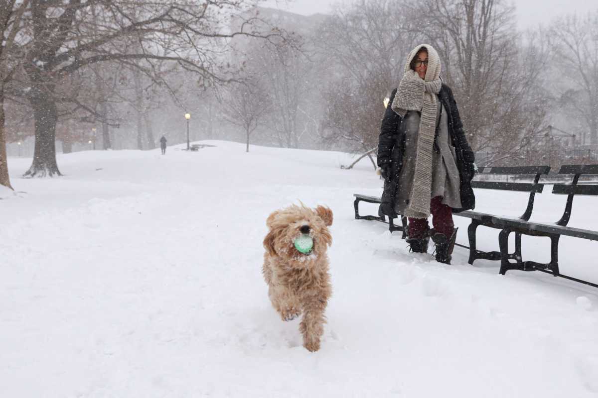 Nor’easter storm in New York