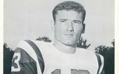 Don Maynard Jets