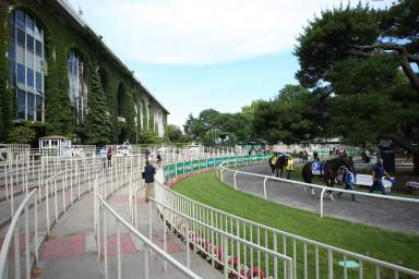 Belmont Park Belmont Stakes UBS Arena