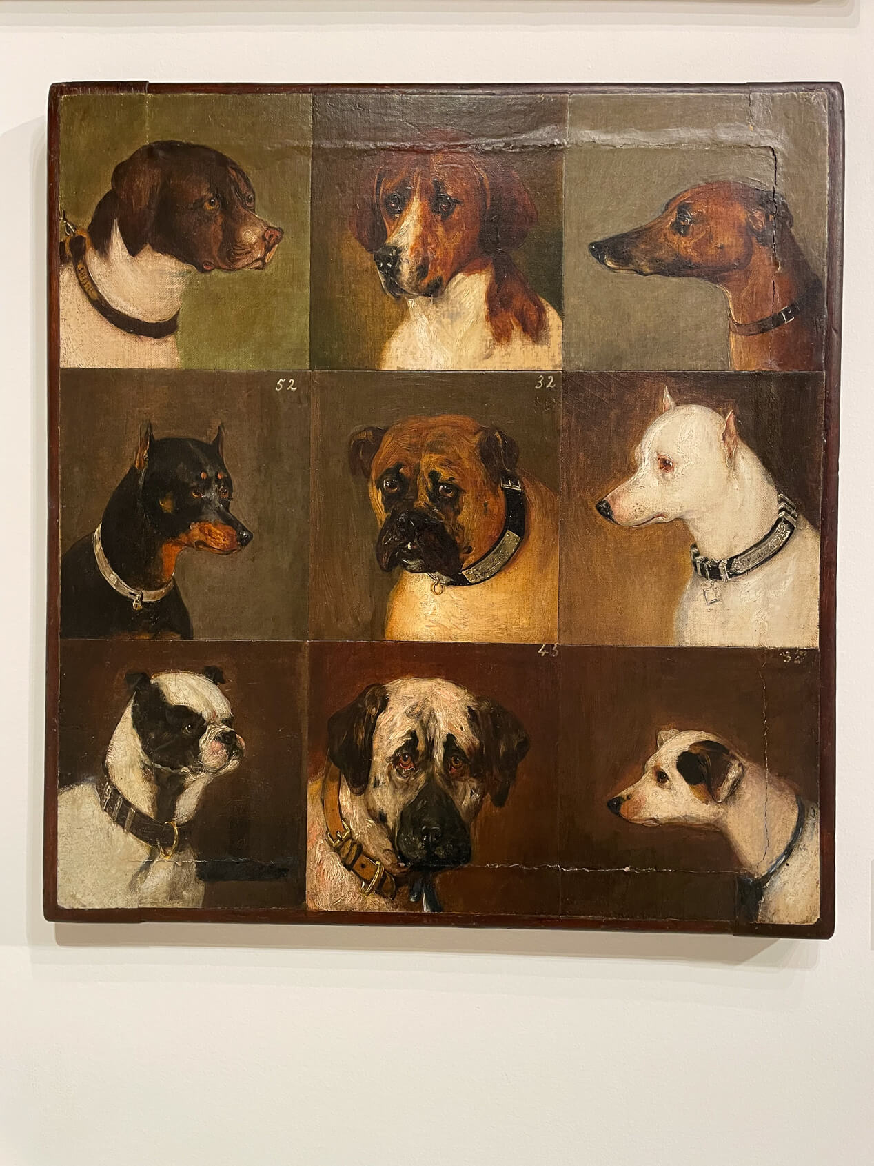 New Yorkers, their dogs and a visit to the museum 4