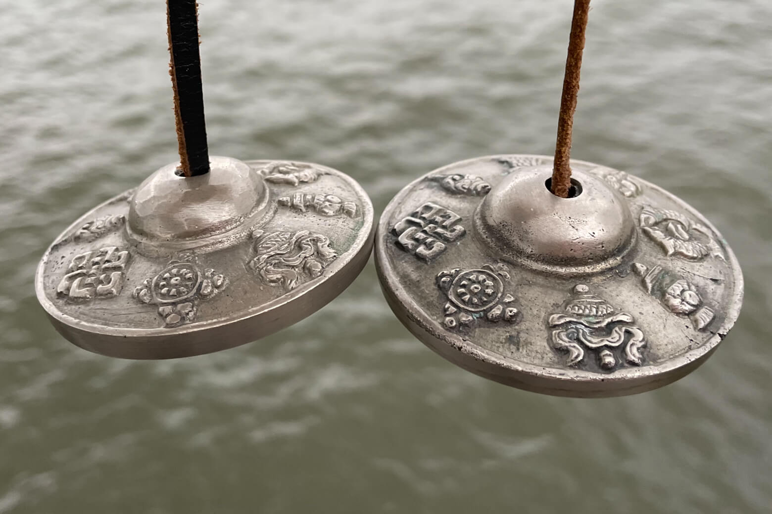 Celebrate the coming of spring at Hudson River Pier 46 5