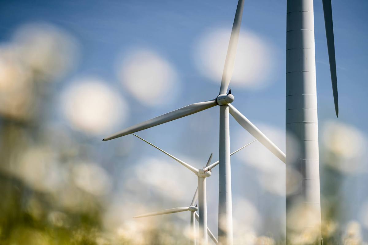 Wind turbine in a wild meadow