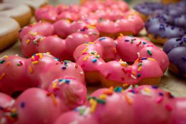Bear Donut