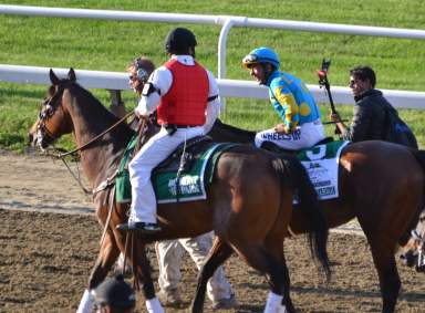 Belmont Stakes American Pharoah 2015