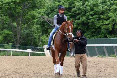 Rich Strike training for Belmont Stakes