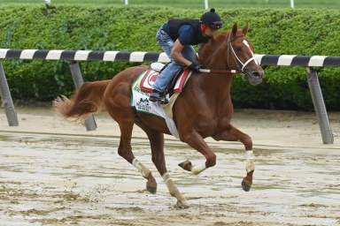 Rich Strike preps for the Belmont Stakes