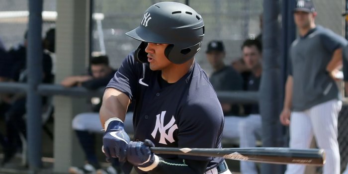 2022 MLB Futures Game: Francisco Alvarez, Anthony Volpe, and more top prospects 3 Jasson Dominguez will play in the 2022 MLB Futures Game