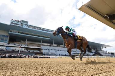 Aqueduct Racetrack to host "Belmont at the Big A" meet