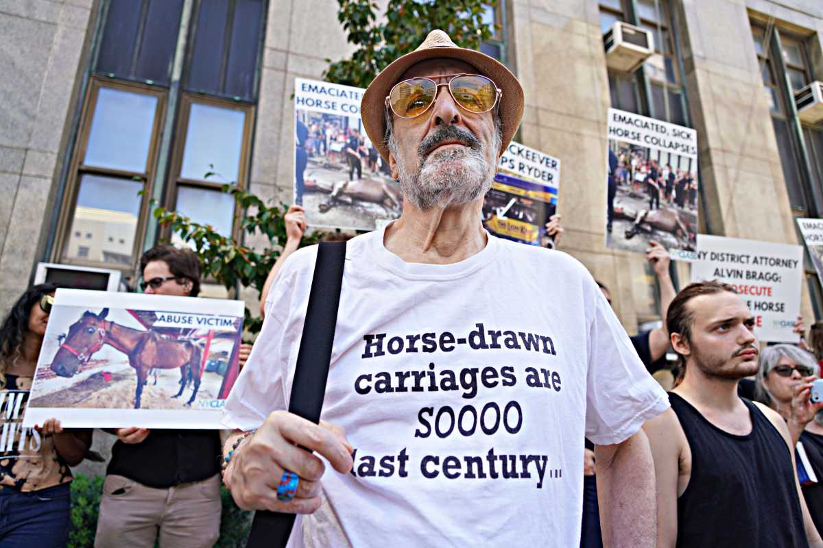 Animal rights group says they located Ryder the carriage horse