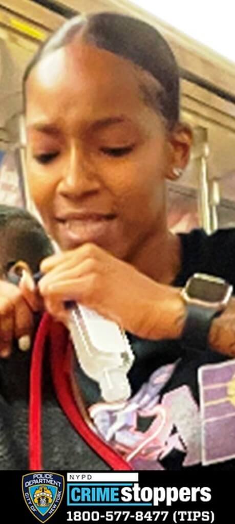 Bigoted Brooklyn brute beat up woman on Q train in hate crime: NYPD 3