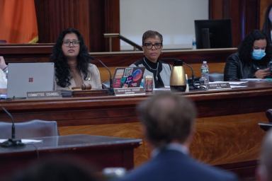 Adams, Bronx, City Council