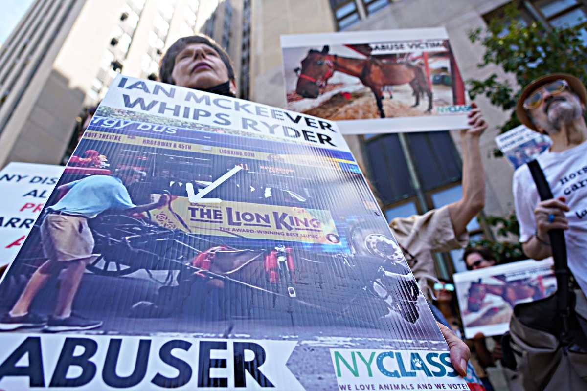 Horse drawn carriages poll