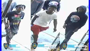 bronx robbery trio