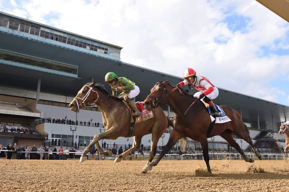 Aqueduct to host the Belmont at the Big A meet