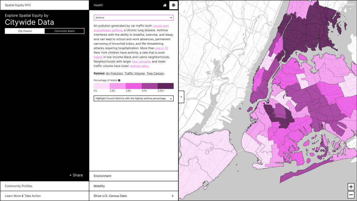 Inequality in NYC's public space results in alarming health, environmental disparities, report finds 3