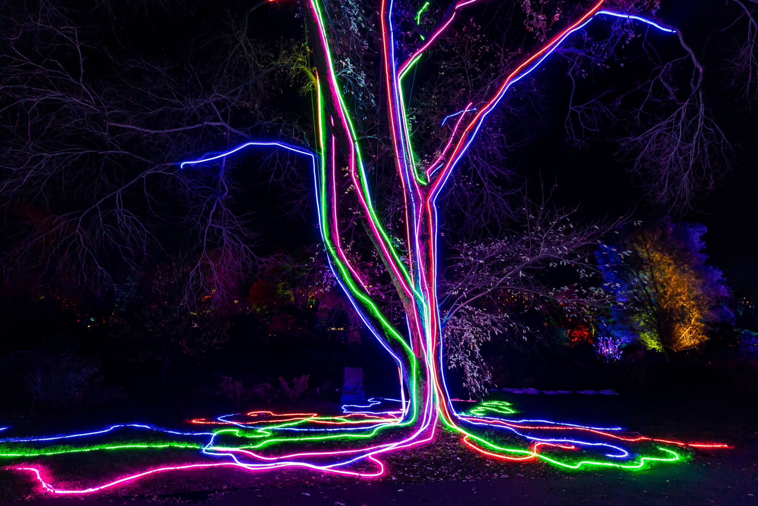Here are some holiday activities in New York City that you won't want to miss 8