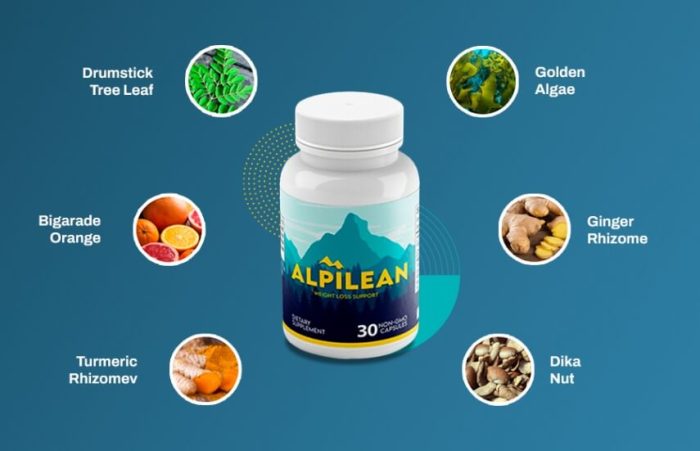 Alpilean Ingredients