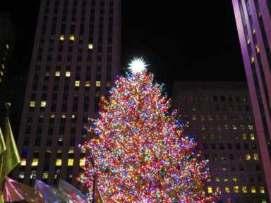 tree-lighting-900×675