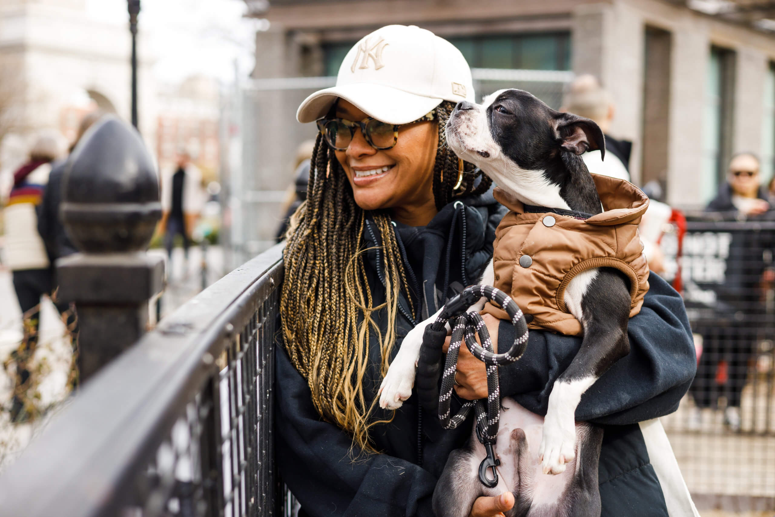 Rosie Ringling and Lex celebrate National Boston Terrier Day
