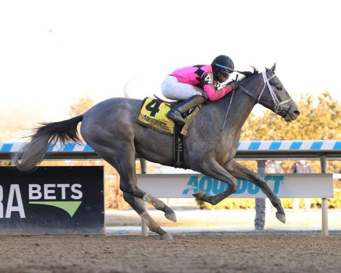 Kentucky Derby contender Hit Show to run in Wood Memorial