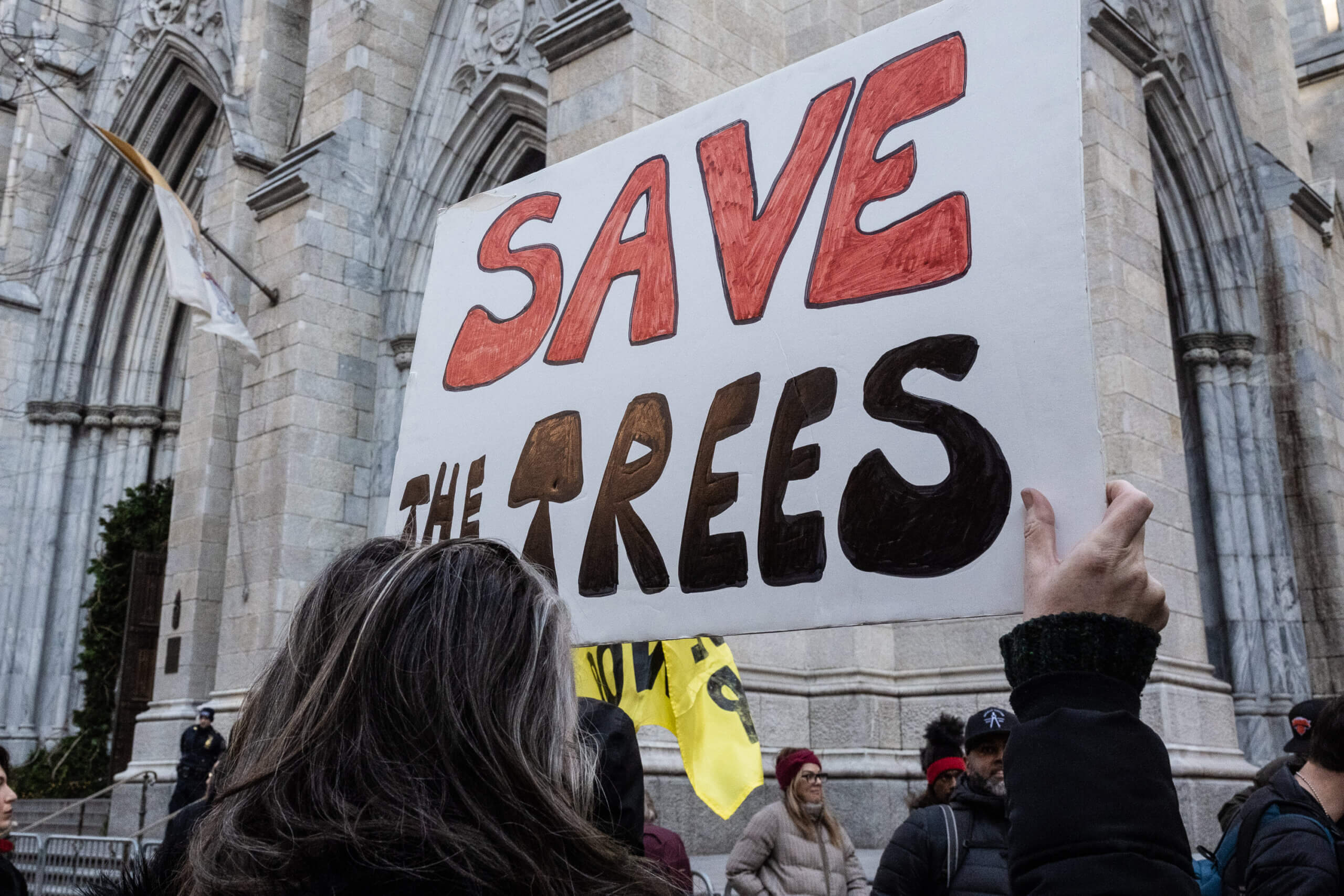 New York activists join national day of outcry over Atlanta's 'Cop City' 12 A diverse group of protestors