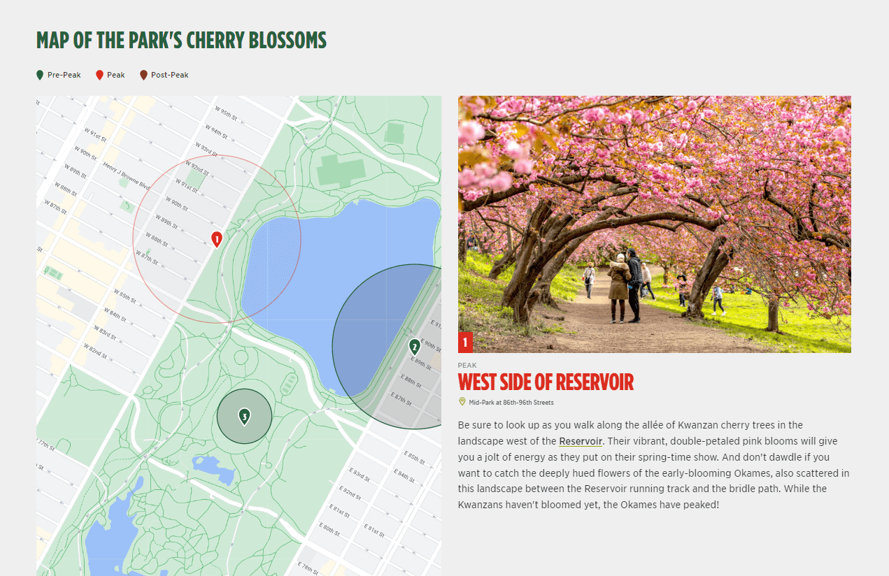 Screenshot courtesy of the Central Park