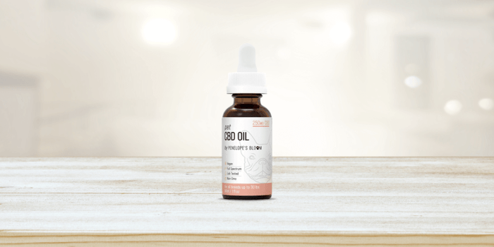 CBD Oil