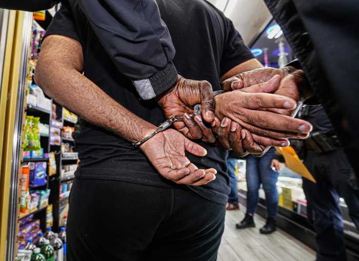 Criminal Arrested