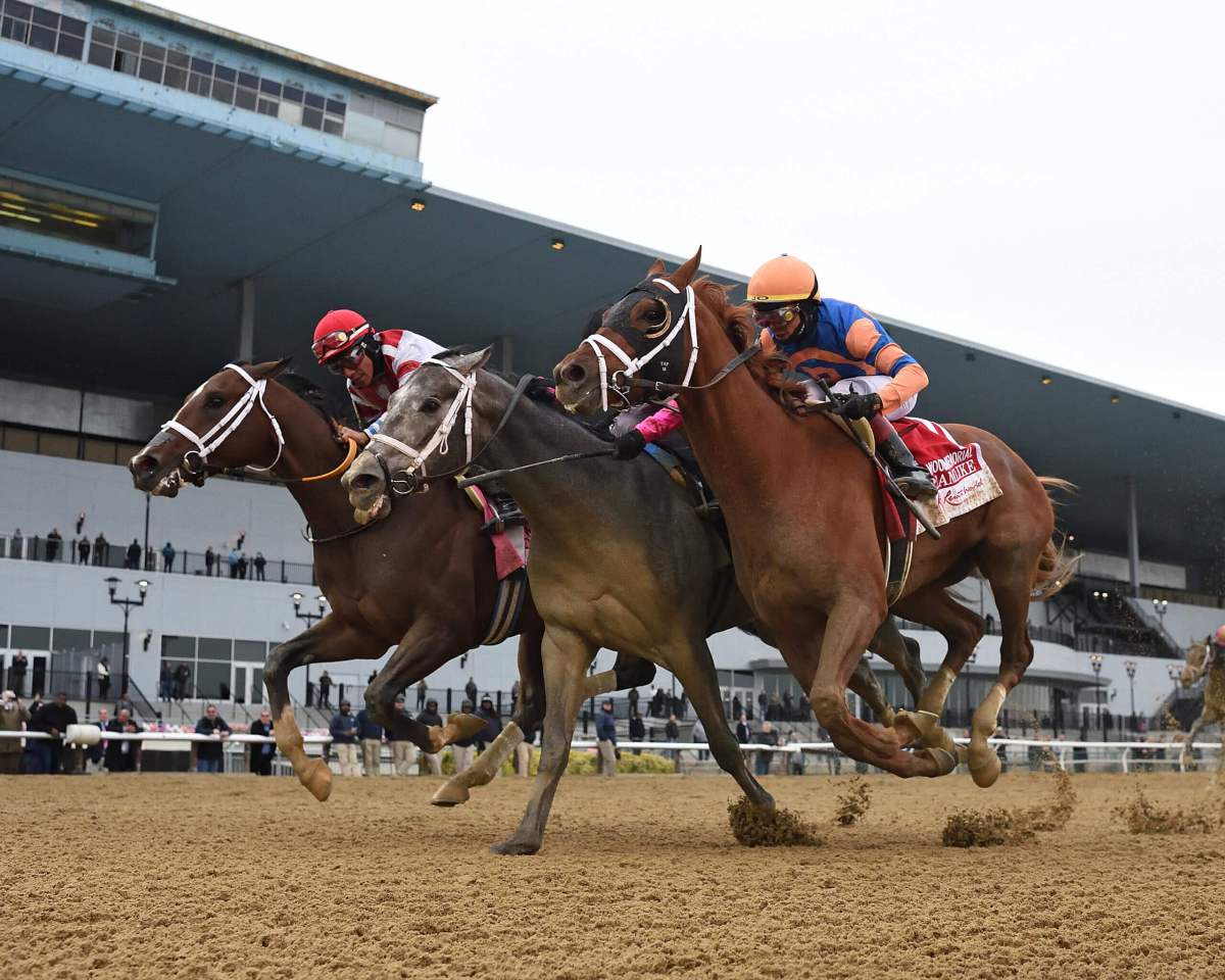 Kentucky Derby contender Lord Miles wins Wood Memorial