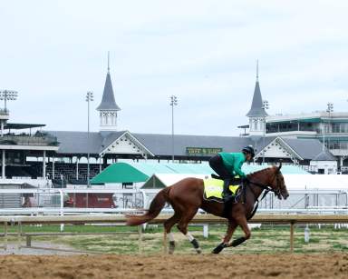 Kentucky Derby contender Derma Sotogake