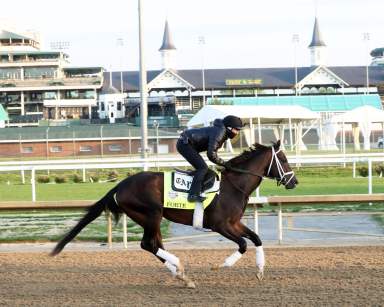 Kentucky Derby favorite Forte