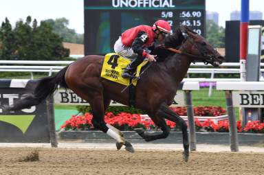 Belmont Park stakes winner Candy Man Rocket