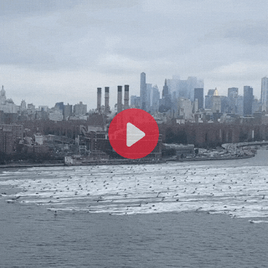 NYC Jet Ski Invasion!
