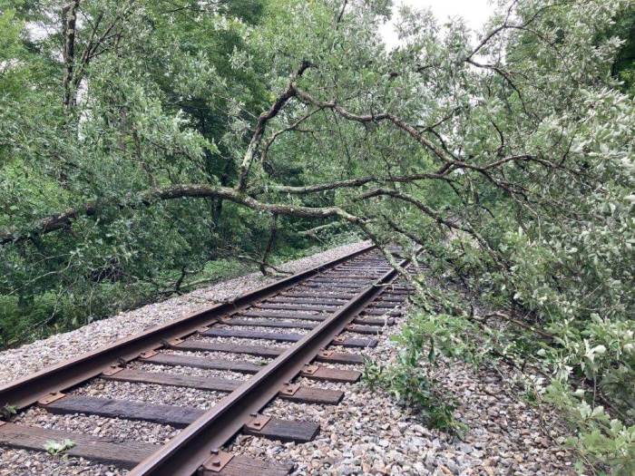 Full service restored on Metro-North, Amtrak in Hudson Valley following '1,000-year' flooding 7 A fallen tree blocks the Harlem Line tracks in the Hudson Valley