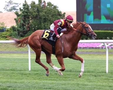 Belmont Derby contender Kalik