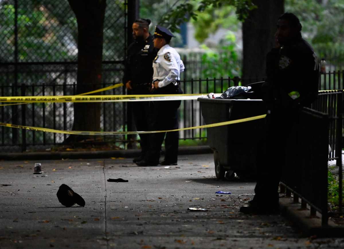Police from the 79th Precinct and Police Service Area 3 investigate a fatal shooting that left one man dead and two others in stable condition in the courtyard of Bedford-Stuyvesant's Sunmer Houses.
