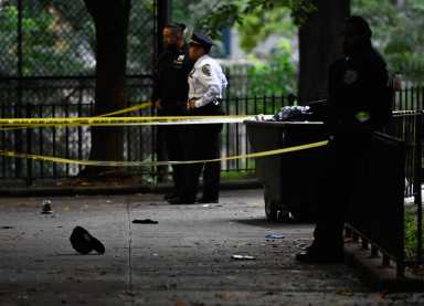 Police from the 79th Precinct and Police Service Area 3 investigate a fatal shooting that left one man dead and two others in stable condition in the courtyard of Bedford-Stuyvesant's Sunmer Houses.