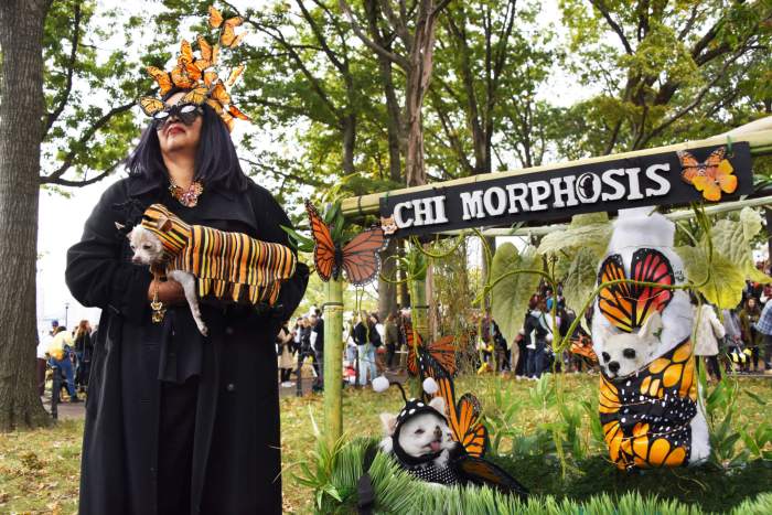 Three dogs and their human dressed as butterflies at the Tompkins Square Park Halloween Dog Parade