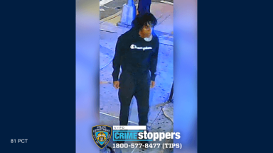 Brooklyn suspect in Ryan Carson murder on camera
