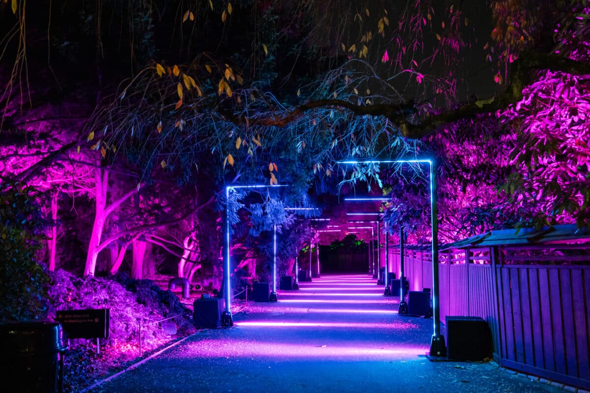 Your winter arts guide for New York City 2023 8