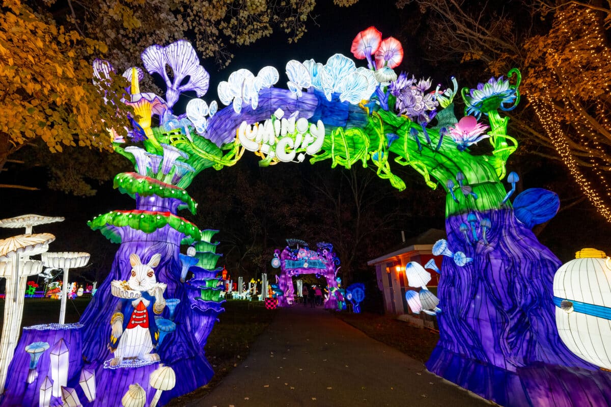 Your winter arts guide for New York City 2023 10