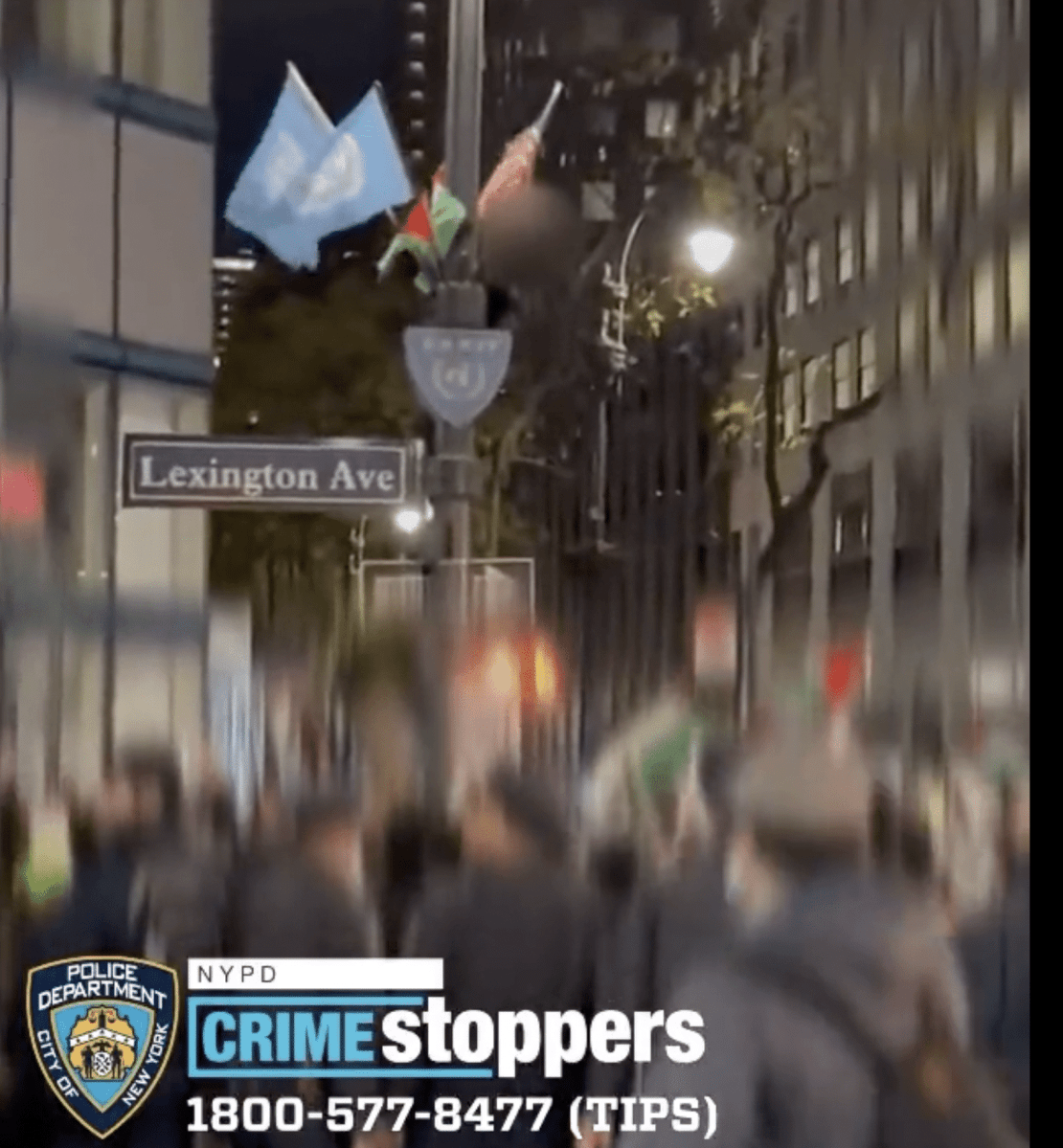 A teenage activist who allegedly tore down several U.S. flags from a pole in Manhattan