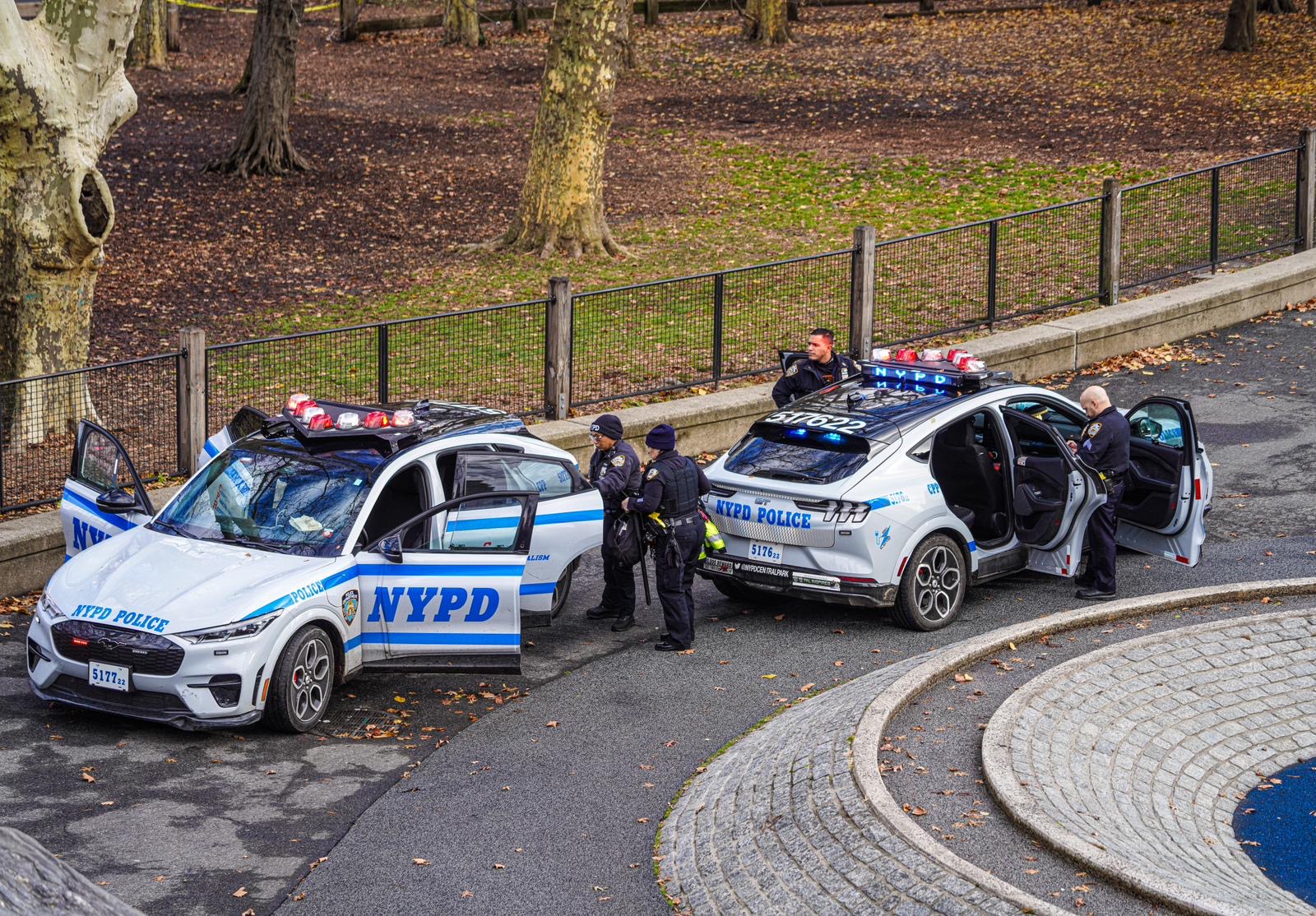 Dead man's body in Central Park playground sparks massive investigation 7 NYPD cordoned off the crime scene where a body was found in a children's playground in Central Park