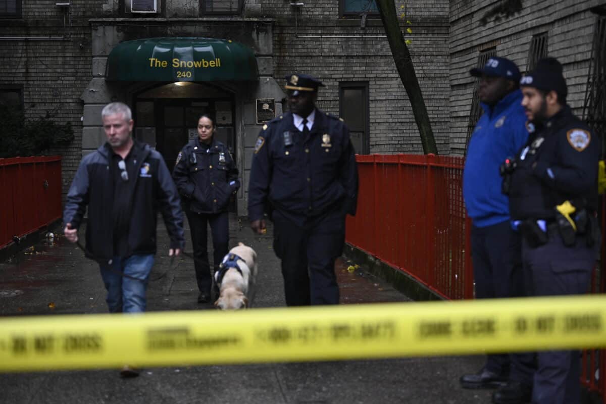 A question of motive: Police working to determine why a Bronx mom allegedly killed her twin children 3 Bronx mom allegedly killed